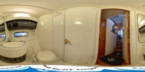 Sealine F37 2003 toiletrum